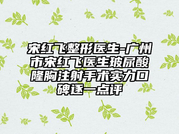 宋红飞整形医生-广州市宋红飞医生玻尿酸隆胸注射手术实力口碑逐一点评