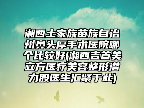 湘西土家族苗族自治州鼻头厚手术医院哪个比较好(湘西吉首美立方医疗美容整形潜力股医生汇聚于此)