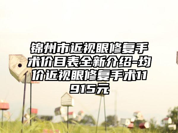 锦州市近视眼修复手术价目表全新介绍-均价近视眼修复手术11915元