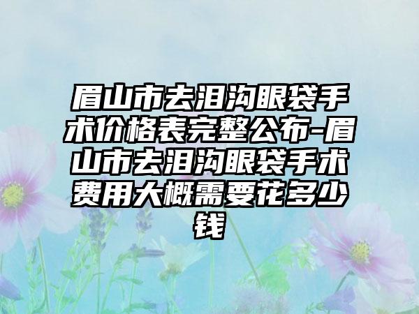 眉山市去泪沟眼袋手术价格表完整公布-眉山市去泪沟眼袋手术费用大概需要花多少钱