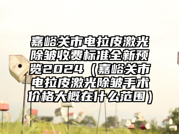 嘉峪关市电拉皮激光除皱收费标准全新预览2024（嘉峪关市电拉皮激光除皱手术价格大概在什么范围）