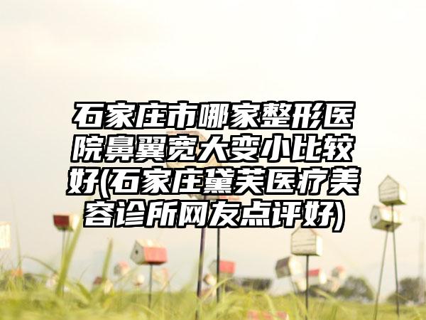 石家庄市哪家整形医院鼻翼宽大变小比较好(石家庄黛芙医疗美容诊所网友点评好)