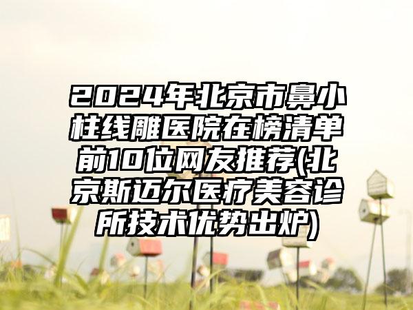 2024年北京市鼻小柱线雕医院在榜清单前10位网友推荐(北京斯迈尔医疗美容诊所技术优势出炉)