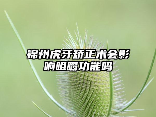 锦州虎牙矫正术会影响咀嚼功能吗