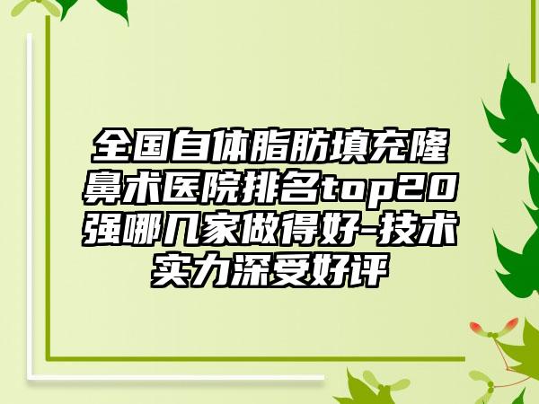 全国自体脂肪填充隆鼻术医院排名top20强哪几家做得好-技术实力深受好评