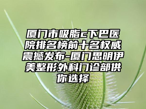 厦门市吸脂c下巴医院排名榜前十名权威震撼发布-厦门思明伊美整形外科门诊部供你选择