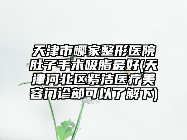 天津市哪家整形医院肚子手术吸脂最好(天津河北区紫洁医疗美容门诊部可以了解下)