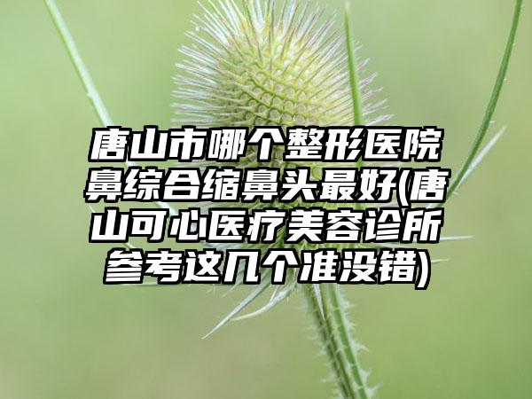 唐山市哪个整形医院鼻综合缩鼻头最好(唐山可心医疗美容诊所参考这几个准没错)