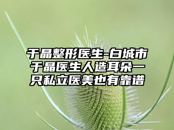 于晶整形医生-白城市于晶医生人造耳朵一只私立医美也有靠谱