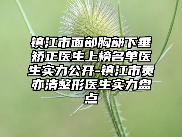 镇江市面部胸部下垂矫正医生上榜名单医生实力公开-镇江市贡亦清整形医生实力盘点