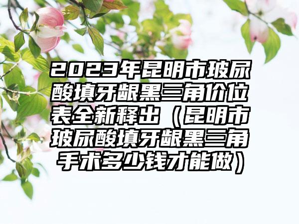 2023年昆明市玻尿酸填牙龈黑三角价位表全新释出（昆明市玻尿酸填牙龈黑三角手术多少钱才能做）