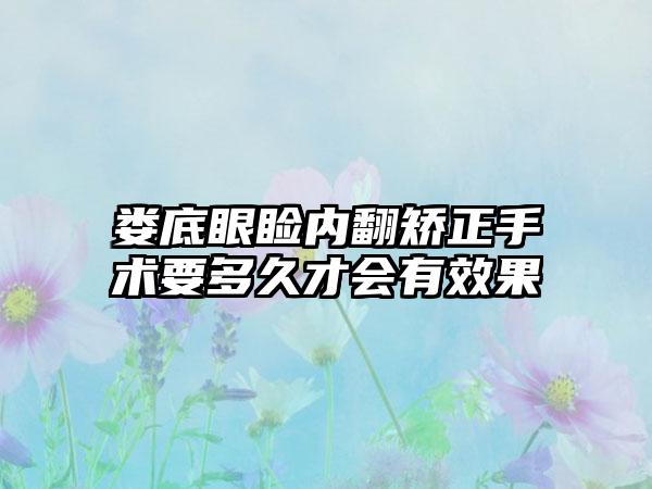 娄底眼睑内翻矫正手术要多久才会有效果