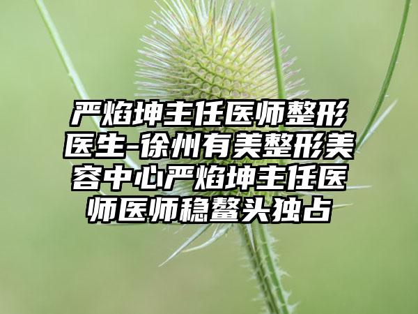 严焰坤主任医师整形医生-徐州有美整形美容中心严焰坤主任医师医师稳鳌头独占