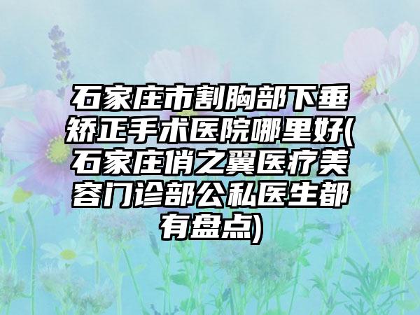 石家庄市割胸部下垂矫正手术医院哪里好(石家庄俏之翼医疗美容门诊部公私医生都有盘点)