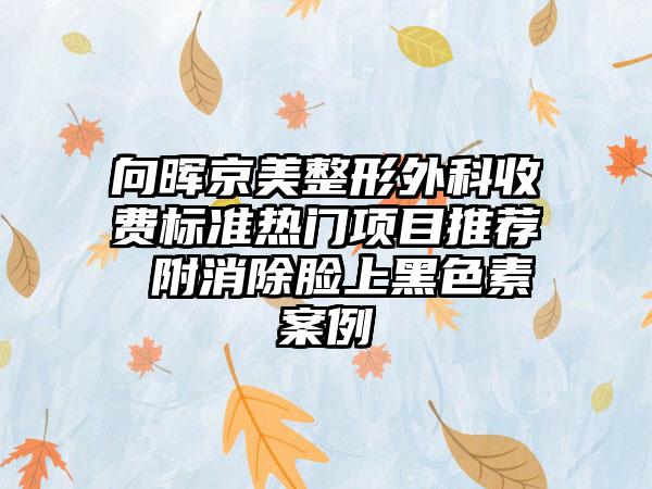 向晖京美整形外科收费标准热门项目推荐 附消除脸上黑色素案例