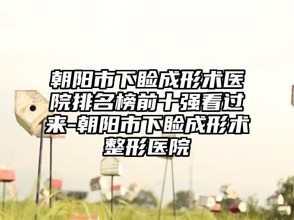 朝阳市下睑成形术医院排名榜前十强看过来-朝阳市下睑成形术整形医院