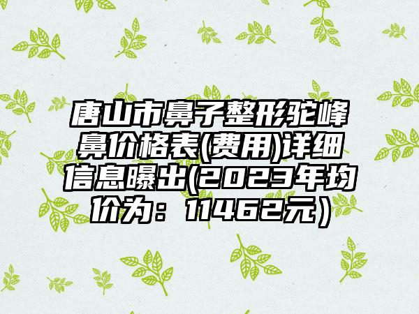 唐山市鼻子整形驼峰鼻价格表(费用)详细信息曝出(2023年均价为：11462元）