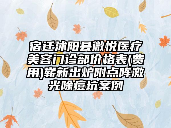 宿迁沭阳县微悦医疗美容门诊部价格表(费用)崭新出炉附点阵激光除痘坑案例