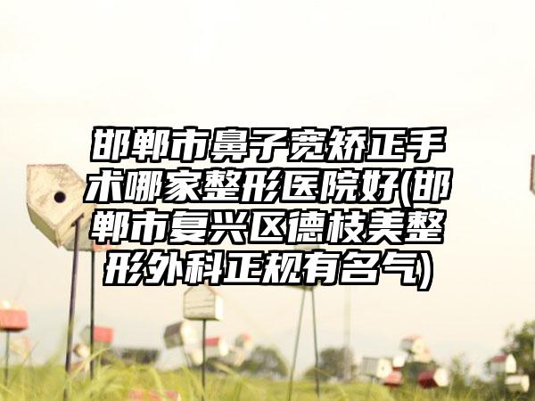 邯郸市鼻子宽矫正手术哪家整形医院好(邯郸市复兴区德枝美整形外科正规有名气)