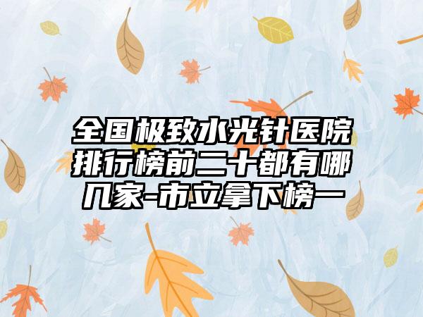 全国极致水光针医院排行榜前二十都有哪几家-市立拿下榜一