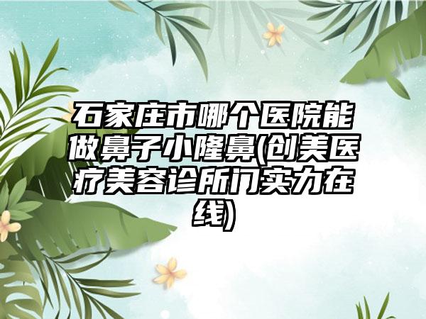 石家庄市哪个医院能做鼻子小隆鼻(创美医疗美容诊所门实力在线)