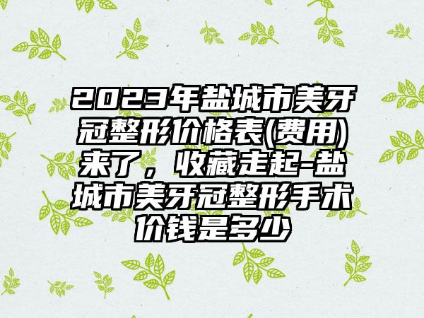 2023年盐城市美牙冠整形价格表(费用)来了，收藏走起-盐城市美牙冠整形手术价钱是多少