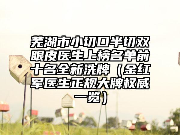 芜湖市小切口半切双眼皮医生上榜名单前十名全新洗牌（金红军医生正规大牌权威一览）