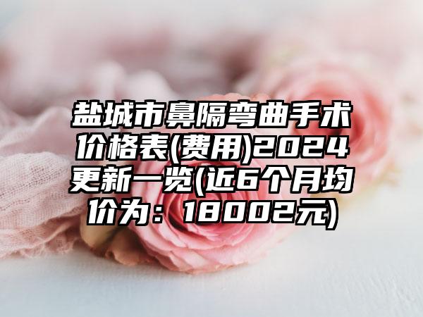 盐城市鼻隔弯曲手术价格表(费用)2024更新一览(近6个月均价为：18002元)