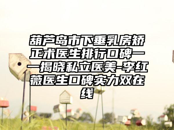 葫芦岛市下垂乳房矫正术医生排行口碑一一揭晓私立医美-李红薇医生口碑实力双在线