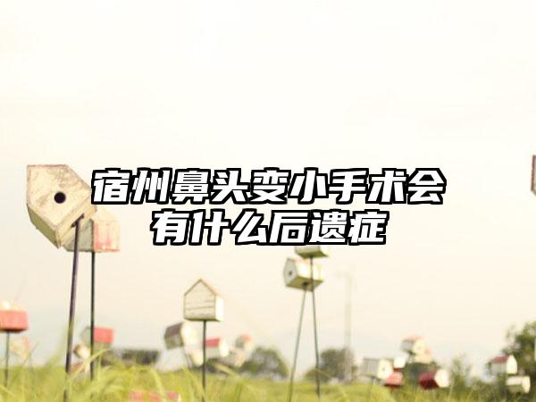 宿州鼻头变小手术会有什么后遗症