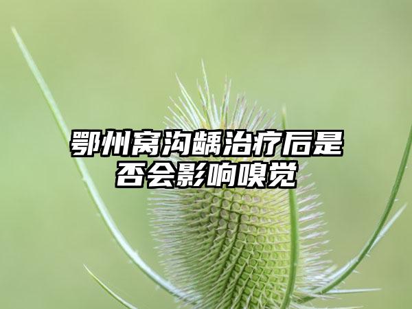 鄂州窝沟龋治疗后是否会影响嗅觉