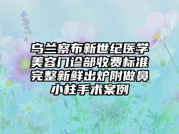 乌兰察布新世纪医学美容门诊部收费标准完整新鲜出炉附做鼻小柱手术案例