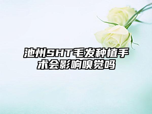 池州SHT毛发种植手术会影响嗅觉吗