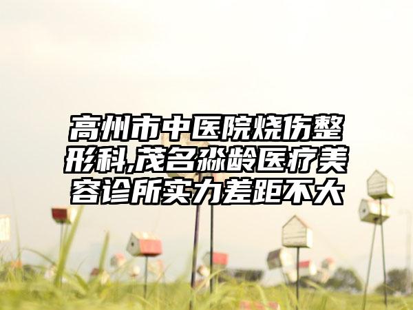 高州市中医院烧伤整形科,茂名淼龄医疗美容诊所实力差距不大