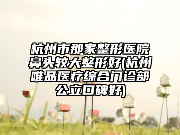 杭州市那家整形医院鼻头较大整形好(杭州唯品医疗综合门诊部公立口碑好)