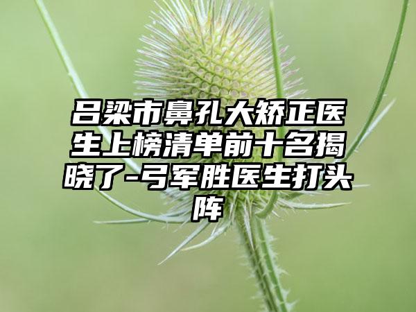 吕梁市鼻孔大矫正医生上榜清单前十名揭晓了-弓军胜医生打头阵