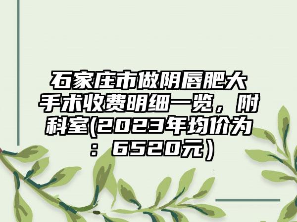 石家庄市做阴唇肥大手术收费明细一览，附科室(2023年均价为：6520元）