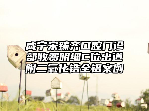 咸宁宋臻齐口腔门诊部收费明细C位出道附二氧化锆全铝案例