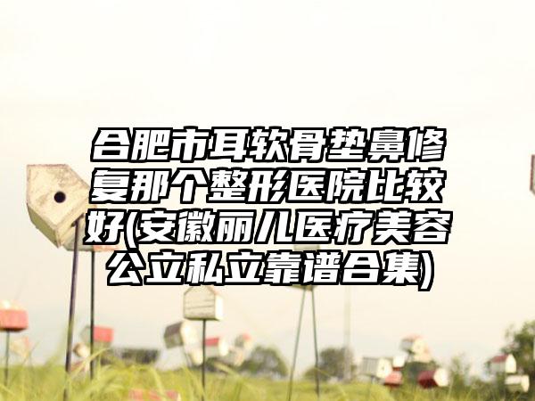 合肥市耳软骨垫鼻修复那个整形医院比较好(安徽丽儿医疗美容公立私立靠谱合集)