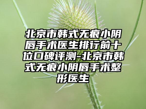 北京市韩式无痕小阴唇手术医生排行前十位口碑评测-北京市韩式无痕小阴唇手术整形医生