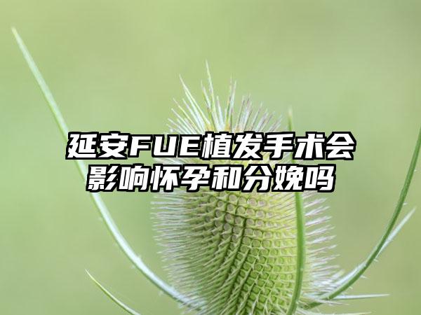 延安FUE植发手术会影响怀孕和分娩吗