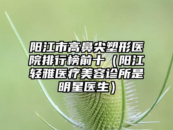 阳江市高鼻尖塑形医院排行榜前十（阳江轻雅医疗美容诊所是明星医生）