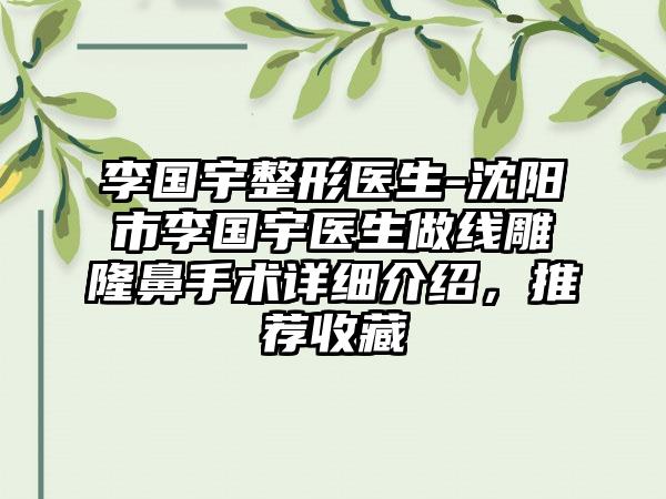 李国宇整形医生-沈阳市李国宇医生做线雕隆鼻手术详细介绍，推荐收藏