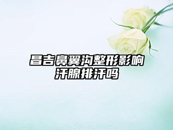 昌吉鼻翼沟整形影响汗腺排汗吗