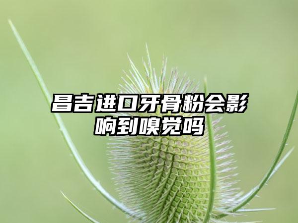 昌吉进口牙骨粉会影响到嗅觉吗