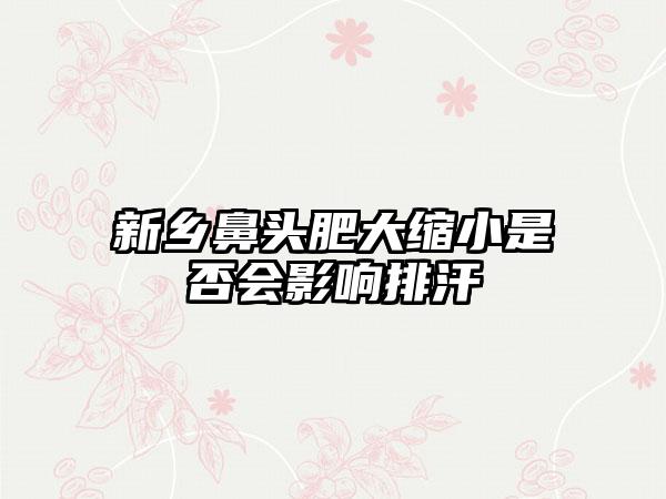 新乡鼻头肥大缩小是否会影响排汗