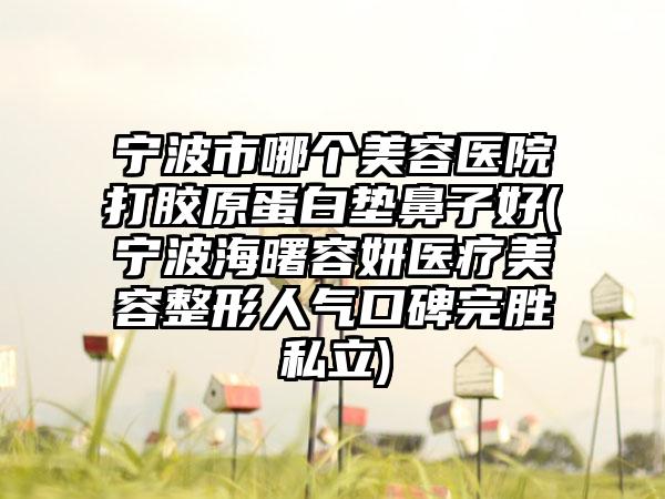 宁波市哪个美容医院打胶原蛋白垫鼻子好(宁波海曙容妍医疗美容整形人气口碑完胜私立)