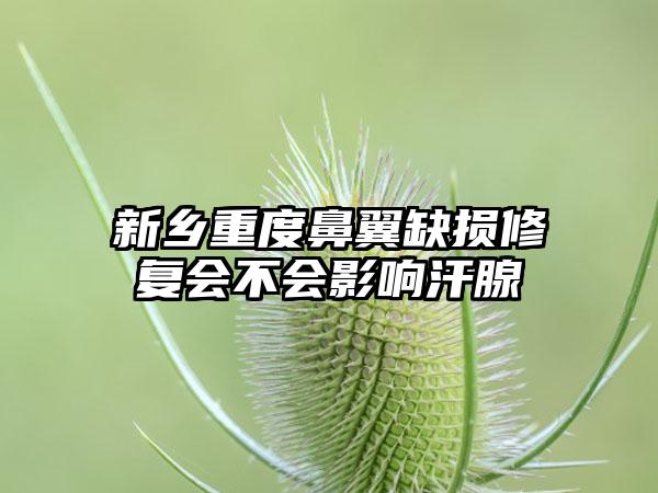 新乡重度鼻翼缺损修复会不会影响汗腺