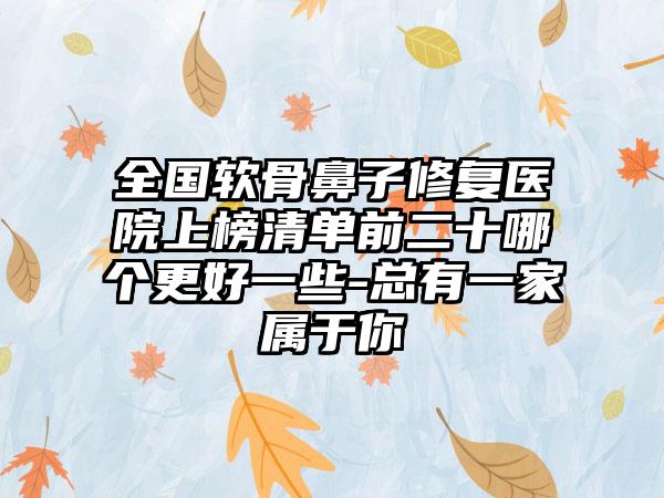 全国软骨鼻子修复医院上榜清单前二十哪个更好一些-总有一家属于你