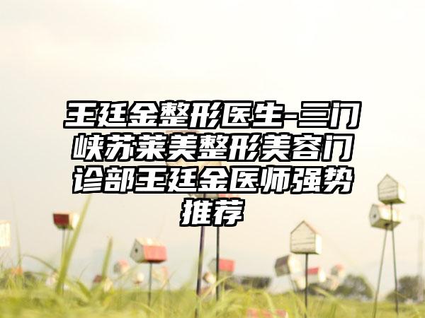 王廷金整形医生-三门峡苏莱美整形美容门诊部王廷金医师强势推荐